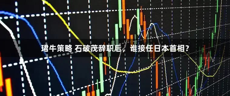 珺牛策略 石破茂辞职后，谁接任日本首相？